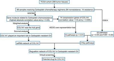 Detailed Molecular Mechanism and Potential Drugs for COL1A1 in Carboplatin-Resistant Ovarian Cancer